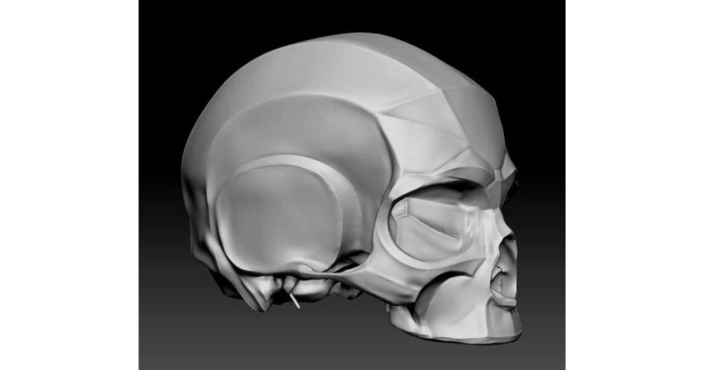 3D Modeling Vs Sculpting : What Are the Differences